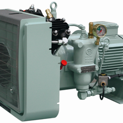 Thumb 551 5.8 to 9.2 scfm compressor sauer compressors usa inc.
